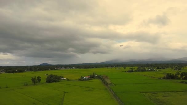 Lekkie Samoloty Przelatują Nisko Nad Polami Ryżowymi Prywatny Samolot — Wideo stockowe