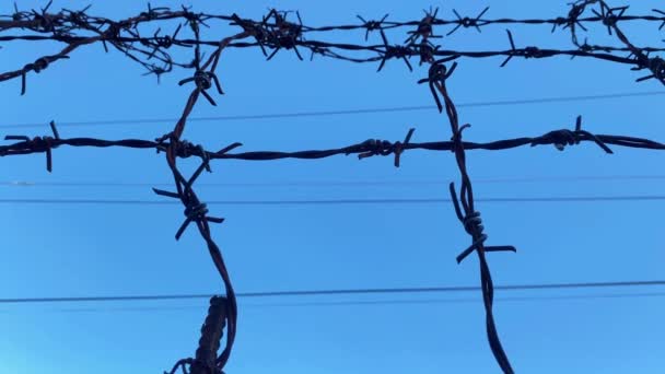 铁丝网在高高的栅栏上与天空抗衡 — 图库视频影像