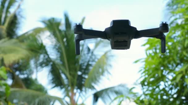 Nsansız Hava Aracı Tropikal Bir Bölgeye Yakın Uçuyor — Stok video