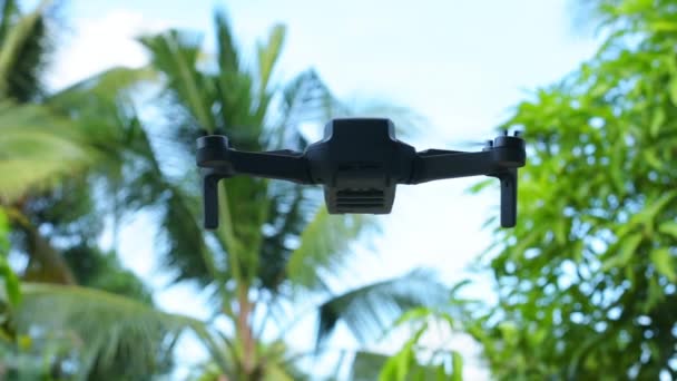 Nsansız Hava Aracı Tropikal Bir Bölgeye Yakın Uçuyor — Stok video