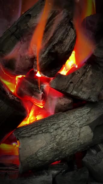 Кокосовый Уголь Горит Пламенем Перед Барбекю — стоковое видео