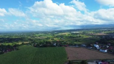 İnsansız hava aracından, pirinç tarlalarından, şeker kamışı tarlasından Asya manzarası.