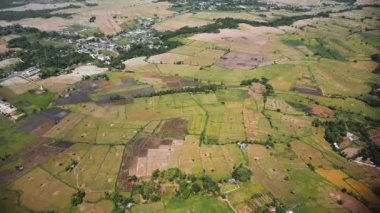 Asya 'daki İHA' nın yüksek irtifasından pirinç tarlaları görüntüsü. 
