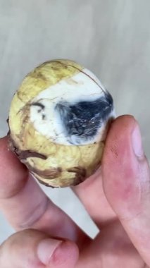 balut. Embriyoyla ördek yumurtası, Filipinler 'de geleneksel Asya yemekleri. kabuksuz yumurta. 