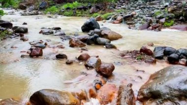 Taşları ve çamurlu sarı suyu olan dağ nehri. heyelan.
