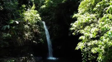 Tropikal şelale güneş ışınlarıyla aydınlatılır.