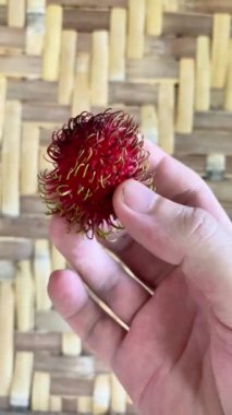 Bir hasır duvarın arka planında elinde tropikal Asya meyveli rambutan.