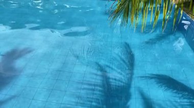 Havuzun suyundaki palmiye yapraklarının ve gökyüzünün yansıması.. 