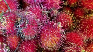 Rambutan meyvesinin yüzeyinde sürünen karıncalar.