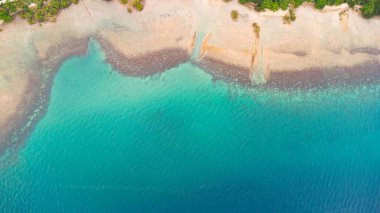 Tropikal plaj palmiye ağaçları ve denizde kristal berrak su ile çevrili, mercanlar hava manzaralı.. 