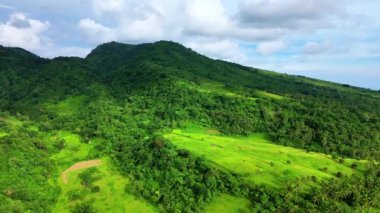 Tropik bölgelerde bulutlu bir gökyüzüne karşı palmiye ağaçlarıyla kaplı volkanik bir dağın havadan görünüşü