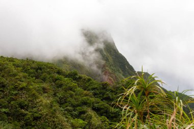 Tepesinde bulutlar ve sis olan tropik dağ volkanı.. 