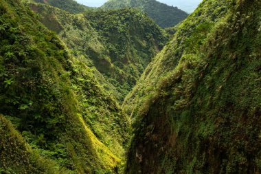Güneşle aydınlanan ve yoğun yağmur ormanlarıyla kaplı tropikal dağlarda bir vadi.. 