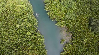 Filipinli balıkçı teknesi ormanda nehirde yelken açıyor, tropikal manzarada..