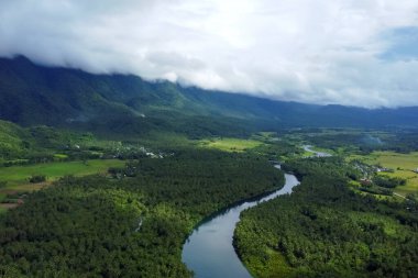 Ormandaki dolambaçlı nehir, tropikal manzara hava manzarası.