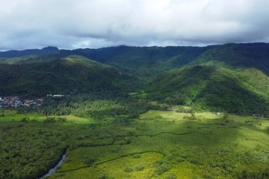 Ormandaki dolambaçlı nehir, tropikal manzara hava manzarası.