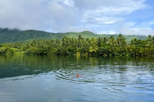 İnsan vahşi ormanda tropikal nehirde yüzer..