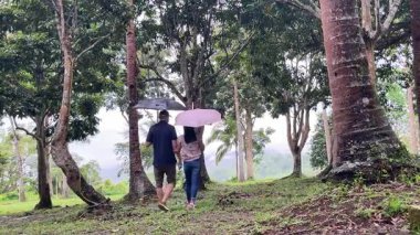 Genç çift tropikal ormanda yürüyor ve ormanı keşfediyor.. 