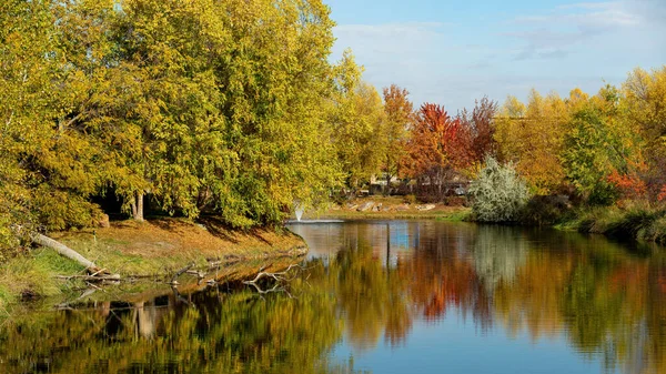 City Park Lagoa Com Reflexos Árvores Queda Imagens Royalty-Free