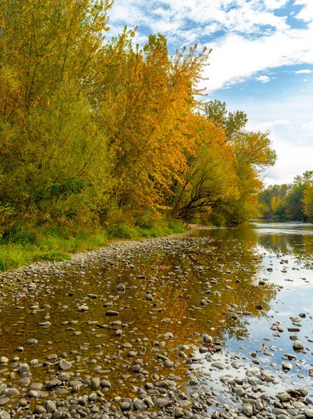 stock image Autumn trees and river rock along the Boise River