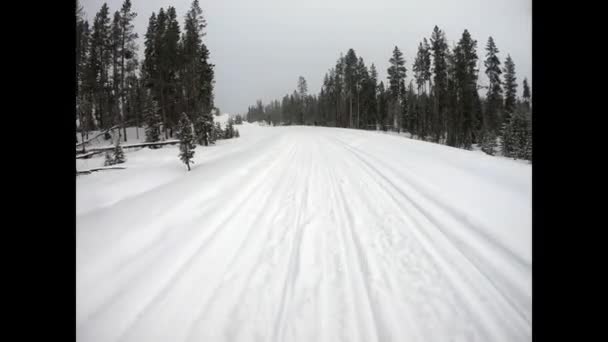 Fat Tire Bike Rides Snow Covered Road Winter — Vídeo de stock
