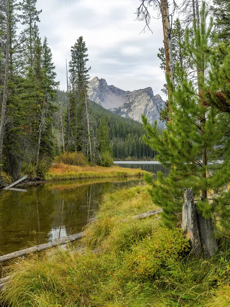 Magnifiques Montagnes Sauvages Idaho — Photo