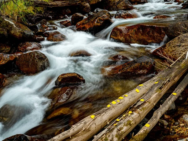 Divoká Divočina Řeka Národním Lese Sawtooth Podzimními Listy — Stock fotografie