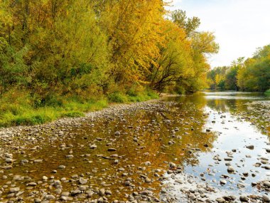 Güzel Boise Nehri, sonbahar ağaçları ve sıcak yansımaları olan çizgiler.