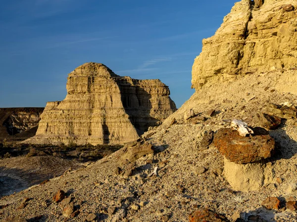 Desierto Del Sur Oregón Con Cráneo Sobre Una Roca — Foto de Stock