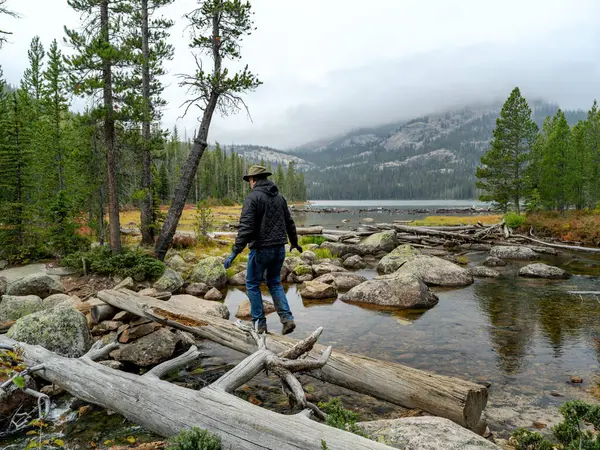 stock image Careful not to fall man steps across a creek on a log