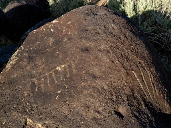 Petroglyfy Vytesané Troufalosti Domorodými Američany — Stock fotografie