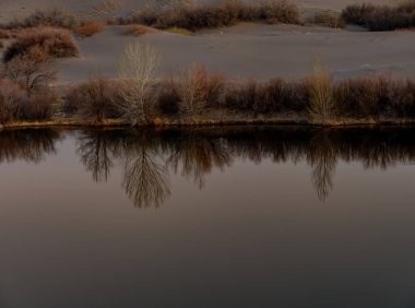 Durgun bir gölde gündoğumu ağacı yansıması