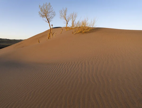 Тени Встроенные Рябь Песчаной Дюны — стоковое фото