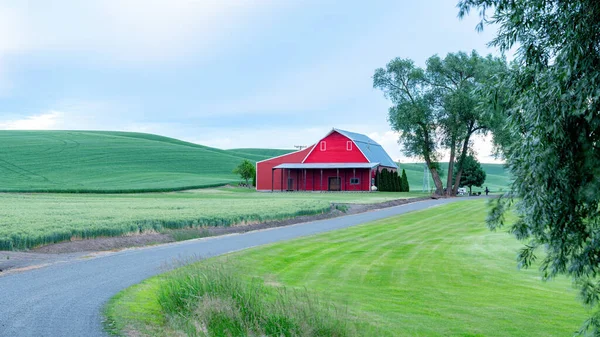 Зеленые Поля Красный Амбар Сельской Ферме — стоковое фото