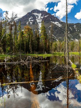 Montana 'nın vahşi doğasında güzel bir gölet