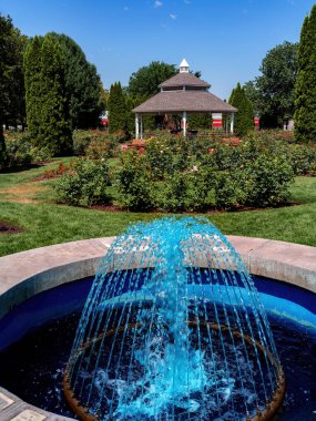 Boise City Parkı 'nda gül bahçeli bir çeşme ve çiftleşme.