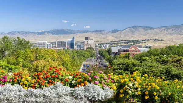 Flores Colores Ciudad Boise Idaho Imagen de archivo