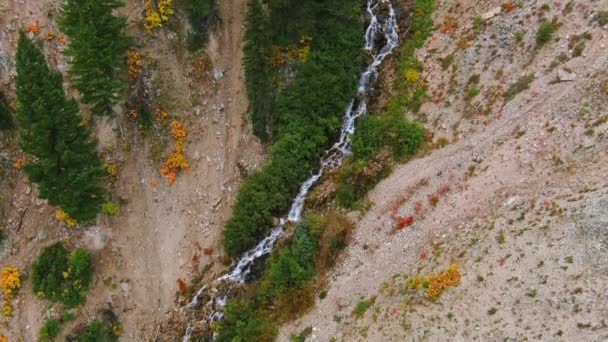 Cascada Salvaje Cañón Rocoso — Vídeo de stock
