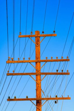 Elektrik hatları olan eski ahşap telefon direği 