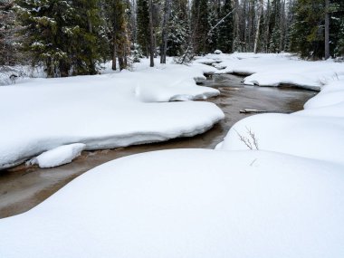 Nehir kışın ormanda kıvrılır.