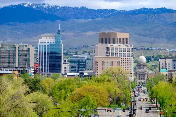 Boise 'de ilkbaharın başlarında ağaçlarda taze yapraklarla