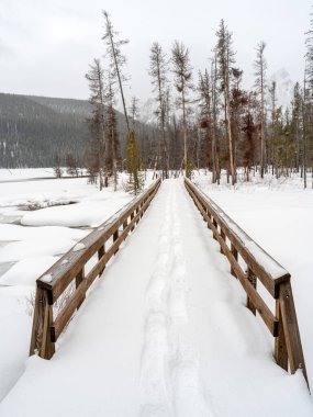Tracks from a snowshoer on an Idaho forest winter clipart