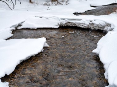 Deresi olan soğuk kış ormanı 