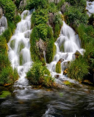 Idaho doğasında küçük güzel bir bahar çifti 