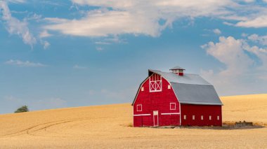 Palouse 'da olgun buğdaylı klasik kırmızı ahır.