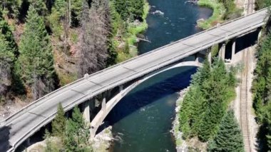 Otoyolu ve köprüsü olan yeşil orman