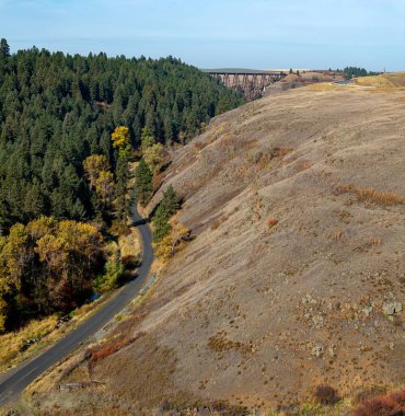 Beautiful Idaho with call trees forest and train bridge clipart