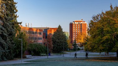 Gündoğumunda güz ağaçları olan Idaho Üniversitesi binaları