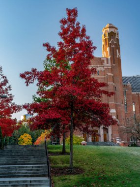 Idaho Üniversitesi su kulesi ve sonbahar ağaçları