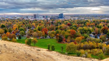 Boise Idaho sonbaharda pek çok ağaçla birlikte ufuk çizgisi